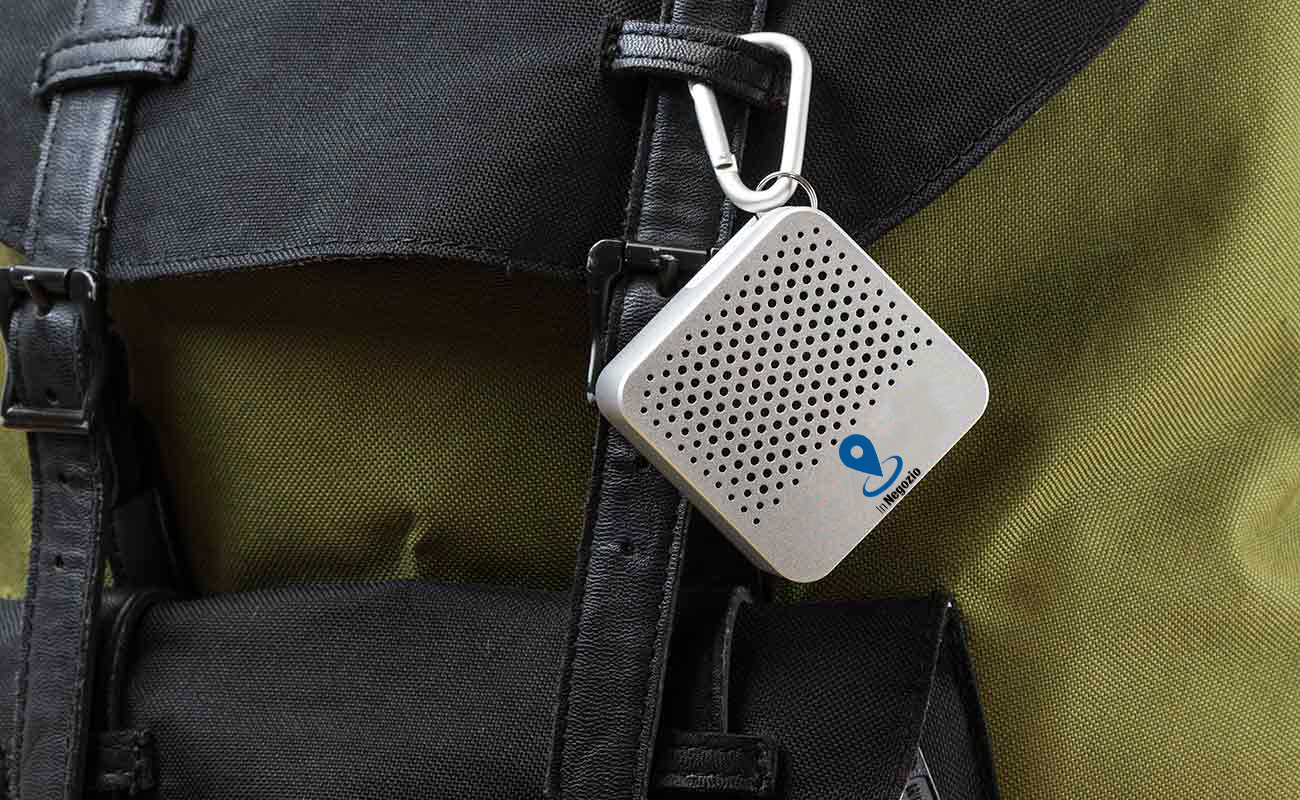 Altoparlanti Bluetooth®